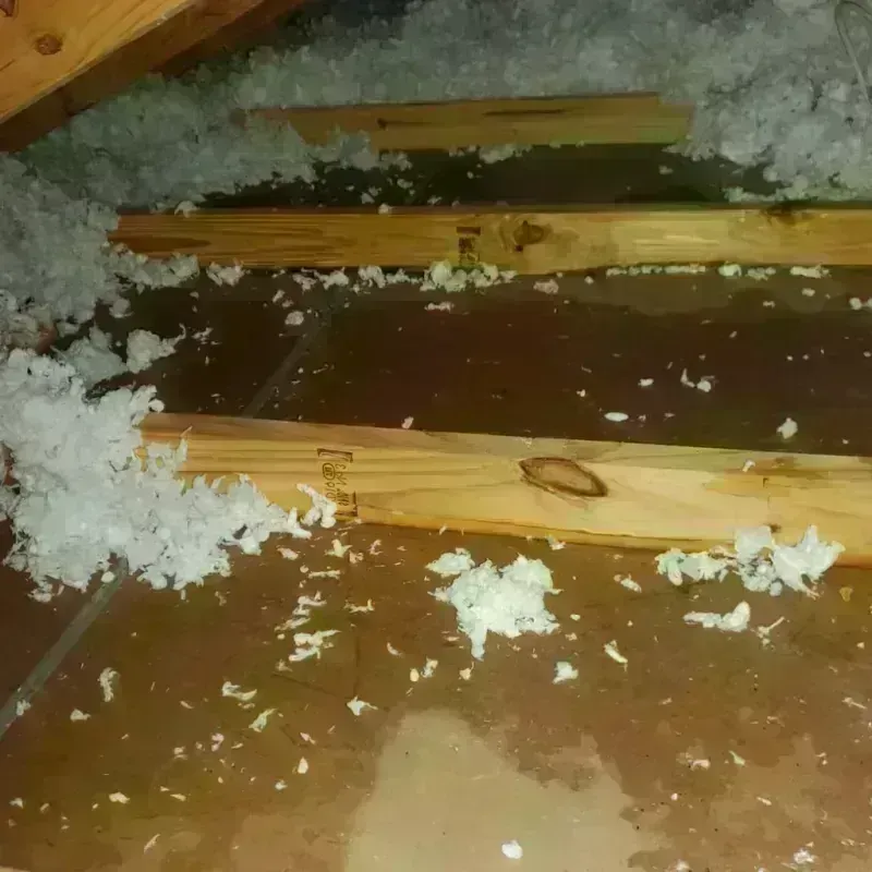 Attic Water Damage in Leonard, TX