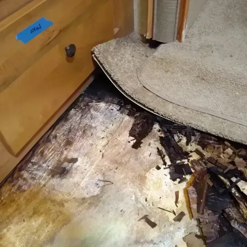 Wood Floor Water Damage in Leonard, TX